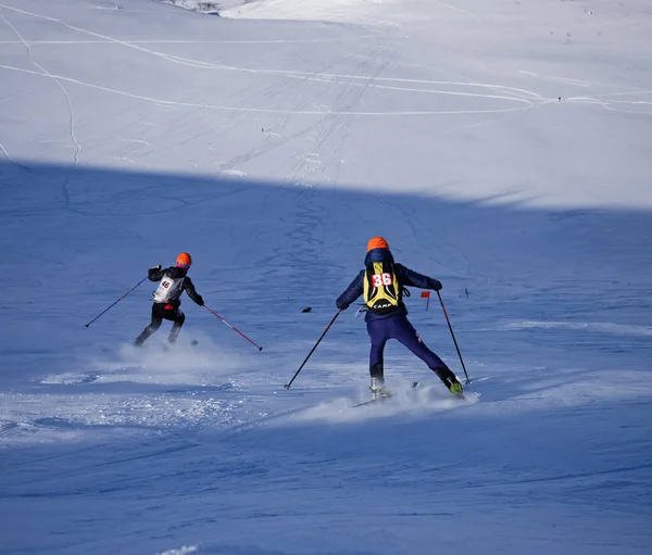 Russia Volgodonsk January 2015 Skiingtraining Ride Skis Winter Sport — Stock Photo, Image