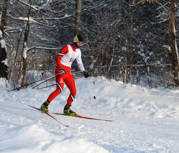 Rusia Volgodonsk Enero 2015 Esquioentrenamiento Esquís Deportes Invierno —  Fotos de Stock