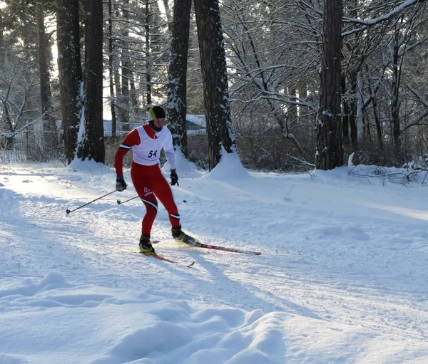 Rusia Volgodonsk Enero 2015 Esquioentrenamiento Esquís Deportes Invierno —  Fotos de Stock