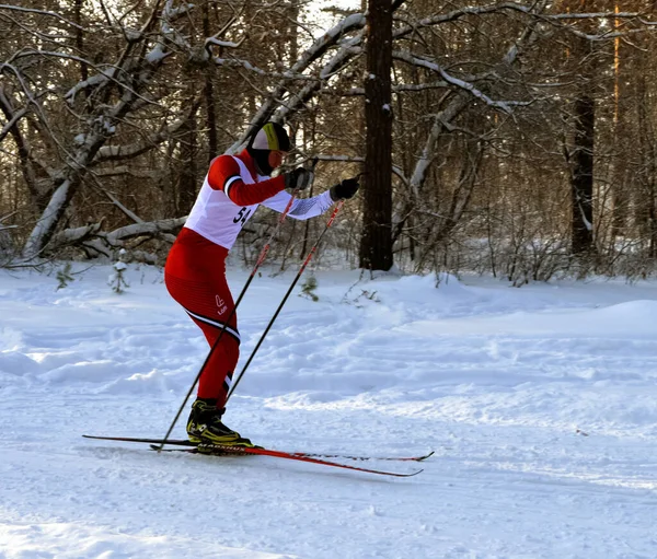 Rússia Volgodonsk Janeiro 2015 Esqui Passeio Treinamento Esquis Esporte Inverno — Fotografia de Stock