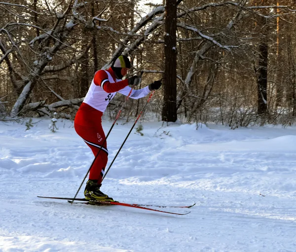 Rusia Volgodonsk Enero 2015 Esquioentrenamiento Esquís Deportes Invierno —  Fotos de Stock