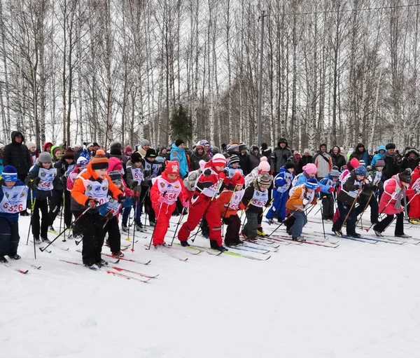 Russia Volgodonsk Gennaio 2015 Sciogiro Allenamento Sugli Sci Sport Invernali — Foto Stock