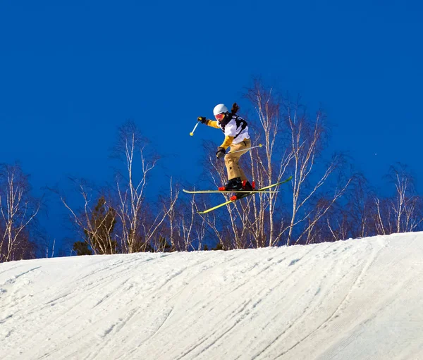 Ρωσία Volgodonsk Ιανουαρίου 2015 Βόλτα Σκι Χειμερινό Άθλημα — Φωτογραφία Αρχείου