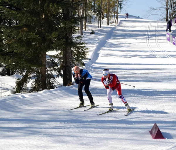 ロシア ヴォルゴドンスク 2015年1月18日 スキーでのスキートレーニングに乗る ウィンタースポーツ — ストック写真