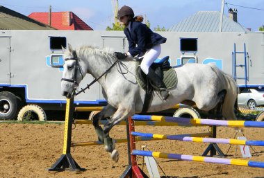 Rusya, Volgodonsk - 02 Haziran 2015: At sırtında eğitim gezisi