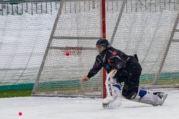 Rússia Volgodonsk Janeiro 2015 Jogo Hóquei Jogos Treinamento — Fotografia de Stock