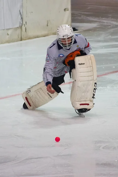 Rusia Volgodonsk Enero 2015 Juego Hockey Juegos Entrenamiento Imagen De Stock