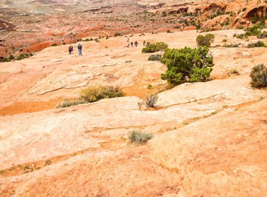 Doğa Milli Parkı, Utah. Manzara ve kayalar. Yollar ve propinki Park, Utah.
