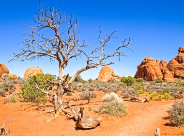 Doğa Milli Parkı, Utah. Manzara ve kayalar. Yollar ve propinki Park, Utah.