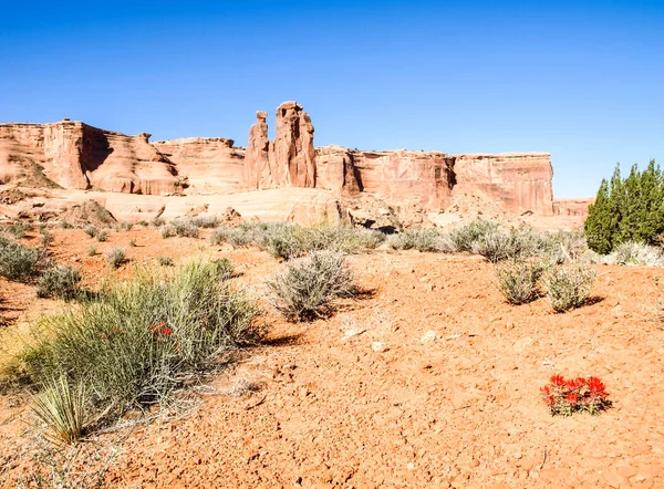 Nature National Park Utah Paisaje Las Rocas Carreteras Propinki Park —  Fotos de Stock