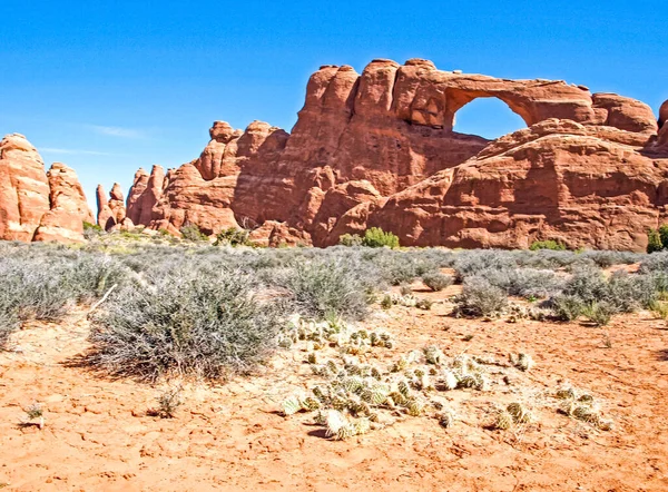 Přírodní Národní Park Utah Krajina Skály Silnice Propinki Park Utah — Stock fotografie