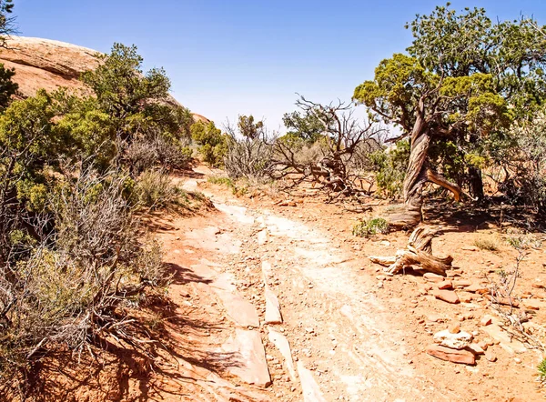 Parque Nacional Natureza Utah Paisagem Rochas Estradas Propinki Park Utah — Fotografia de Stock