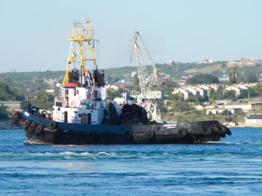 New Orleans, ABD - 23 Haziran 2011: Azamara Quest, limanda turist gemisi. Büyük turizm gemisi
