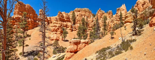 Bryce Canyon National Park Utah Estados Unidos —  Fotos de Stock
