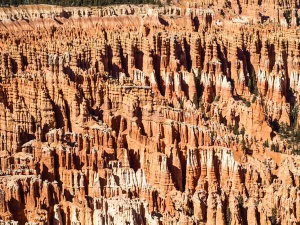 Bryce Canyon National Park Utah Estados Unidos —  Fotos de Stock