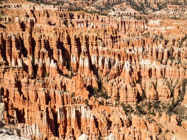 Bryce Canyon National Park Utah Estados Unidos —  Fotos de Stock