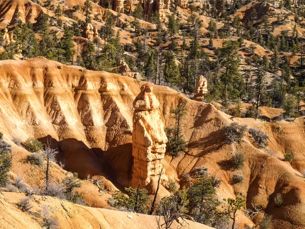 Bryce Canyon National Park Utah Estados Unidos —  Fotos de Stock