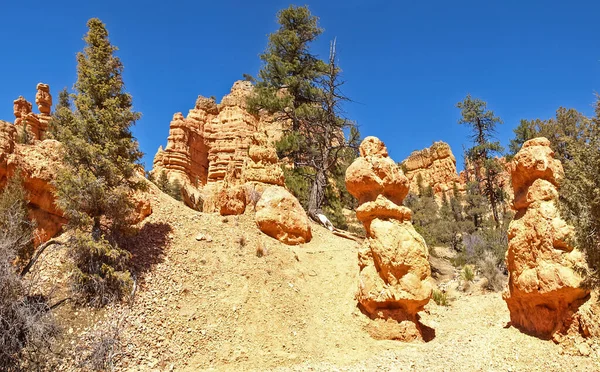 Bryce Canyon National Park Utah Estados Unidos América — Fotografia de Stock