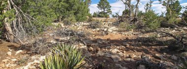 Büyük Kanyon. Kanyon manzarası, manzara ve doğa..