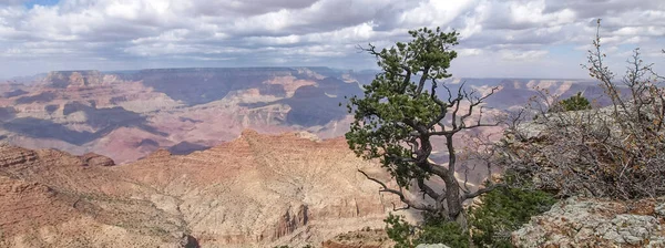 Grand Canyon Utsikt Över Kanjonen Landskapet Och Naturen — Stockfoto