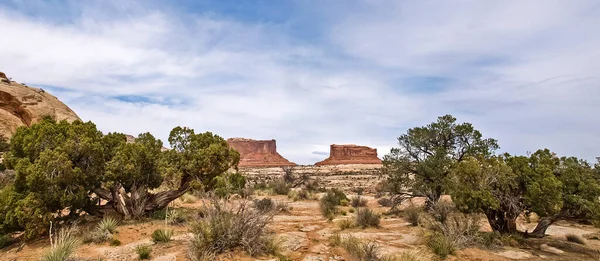 Dead Horse Point Colorado River Utah —  Fotos de Stock