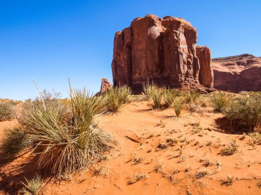 Antik kayaların manzarası. Arizona Anıt Vadisi