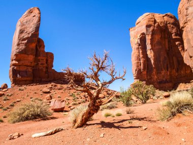 Antik kayaların manzarası. Arizona Anıt Vadisi