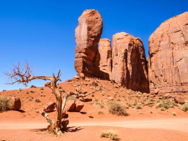 Antik kayaların manzarası. Arizona Anıt Vadisi