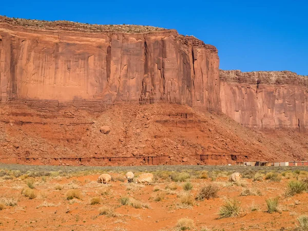 Landskap Gamla Klipporna Monumentdalen Arizona — Stockfoto