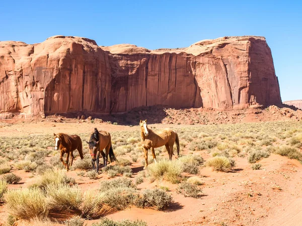 Antik kayaların manzarası. Arizona Anıt Vadisi