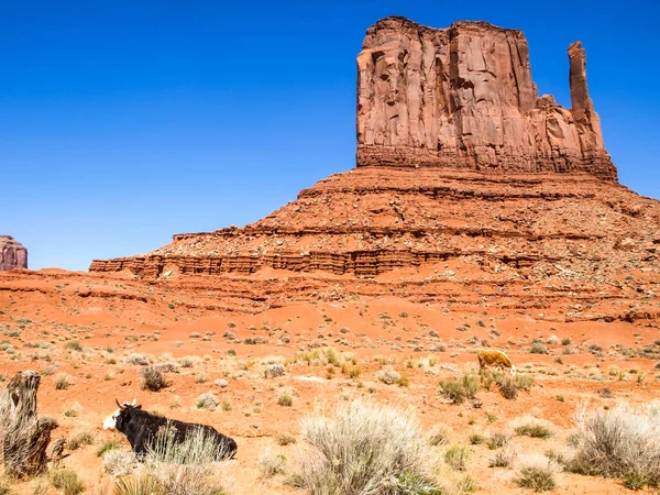 Antik Kayaların Manzarası Arizona Anıt Vadisi — Stok fotoğraf