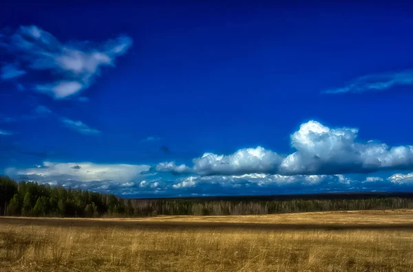 Landschaft Aus Feldern Und Himmel Das Gras Auf Dem Feld — Stockfoto