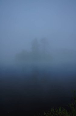 Doğal peyzaj. Çim ve ormandaki ağaçlar. El değmemiş doğası, gün batımı.