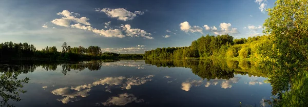 Природный Пейзаж Трава Деревья Берегу Озера Реки Водохранилища Дикой Природе — стоковое фото