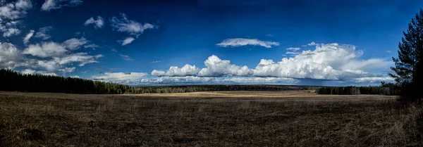 Přírodní Krajiny Tráva Stromy Břehu Jezera Nebo Řeky Nádrže Přírodě — Stock fotografie