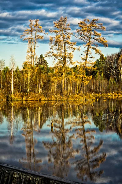 Paesaggio Naturale Erba Gli Alberi Sulla Riva Lago Fiume Serbatoi — Foto Stock