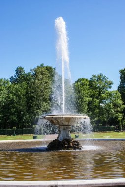 Saint-Petersburg, Rusya - 12 Ağustos 2016: Çeşmeler. Petersburg şehrinin mimarisinin heykelleri ve anıtları. Sokaklardaki ve meydanlardaki çeşmeler.