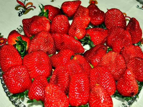 Erdbeere Die Roten Beeren Sommer Gepflückt — Stockfoto