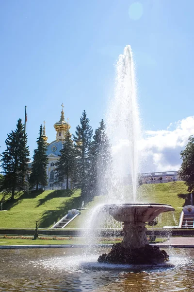 Sankt Petersburg Rosja Sierpnia 2016 Fontanny Posągi Zabytki Petersburga Architektury — Zdjęcie stockowe