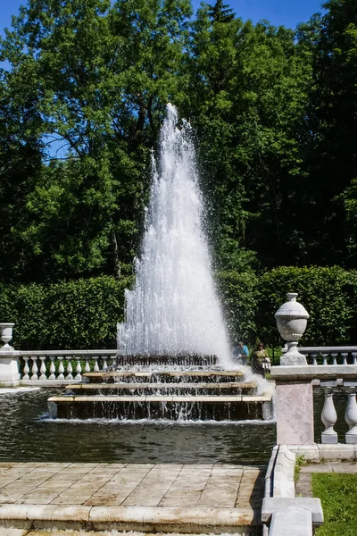 Sankt Petersburg Russland August 2016 Brunnen Statuen Und Denkmäler Von — Stockfoto