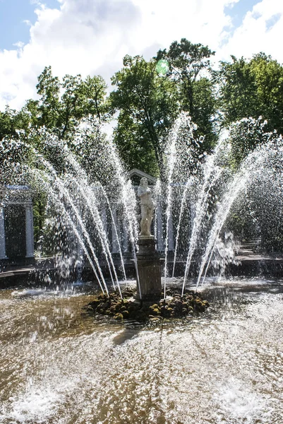 San Petersburgo Rusia Agosto 2016 Fuentes Estatuas Monumentos San Petersburgo — Foto de Stock