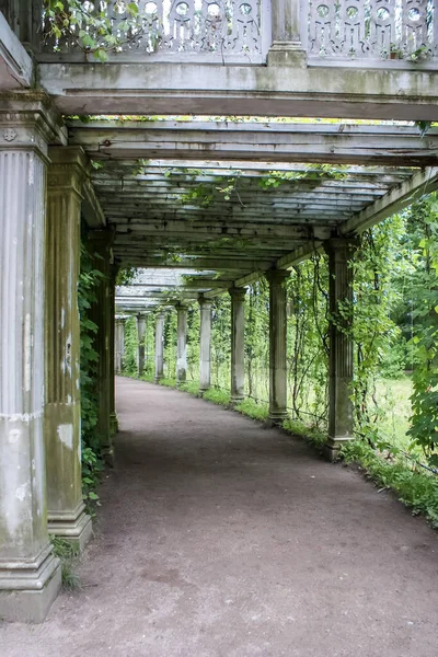 Saint-Petersburg, Rusya - 12 Ağustos 2016: St. Pererburge şehri. Şehrin sarayları ve mimarisi. Şehrin tarihi binaları.