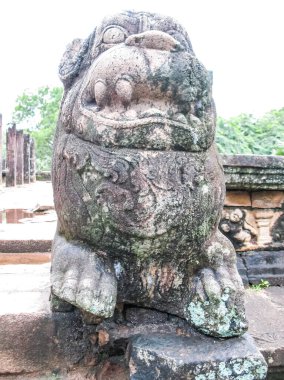 Polonnaruwa, Sri Lanka. Antik bir tapınağın kalıntıları, son derece gelişmiş eski bir medeniyetin izleri..