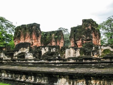 Polonnaruwa, Sri Lanka. Antik bir tapınağın kalıntıları, son derece gelişmiş eski bir medeniyetin izleri..