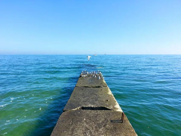 Martılar sahil iskelesinde uçuyor. Ufukta bir yat var.