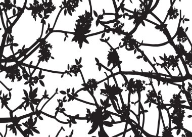 siluet siyah beyaz baclground vektör yaprak