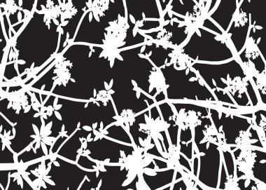 Beyaz siluet siyah baclground vektör yaprak