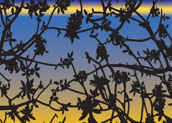 仮想日没 baclground ベクトルの葉の影 — ストックベクタ