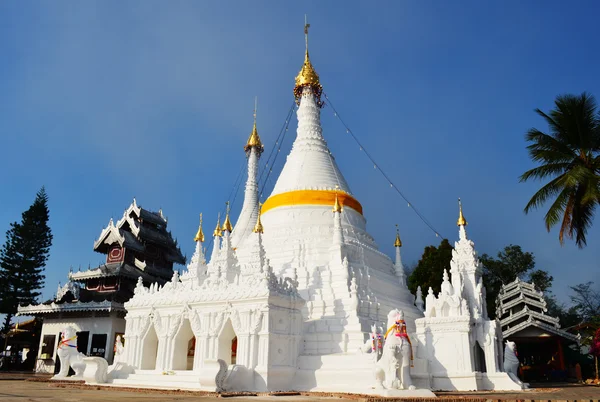 Doi Kong Mu Pagoda — Stockfoto