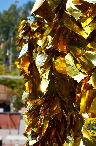Faithful of Golden Leaf — Stock Photo, Image
